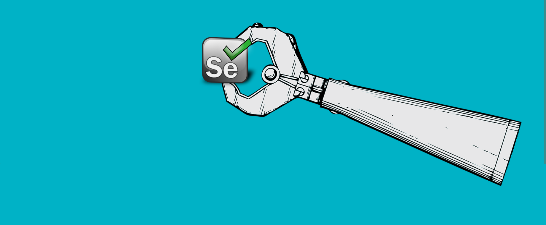 How to execute automation testing using selenium
